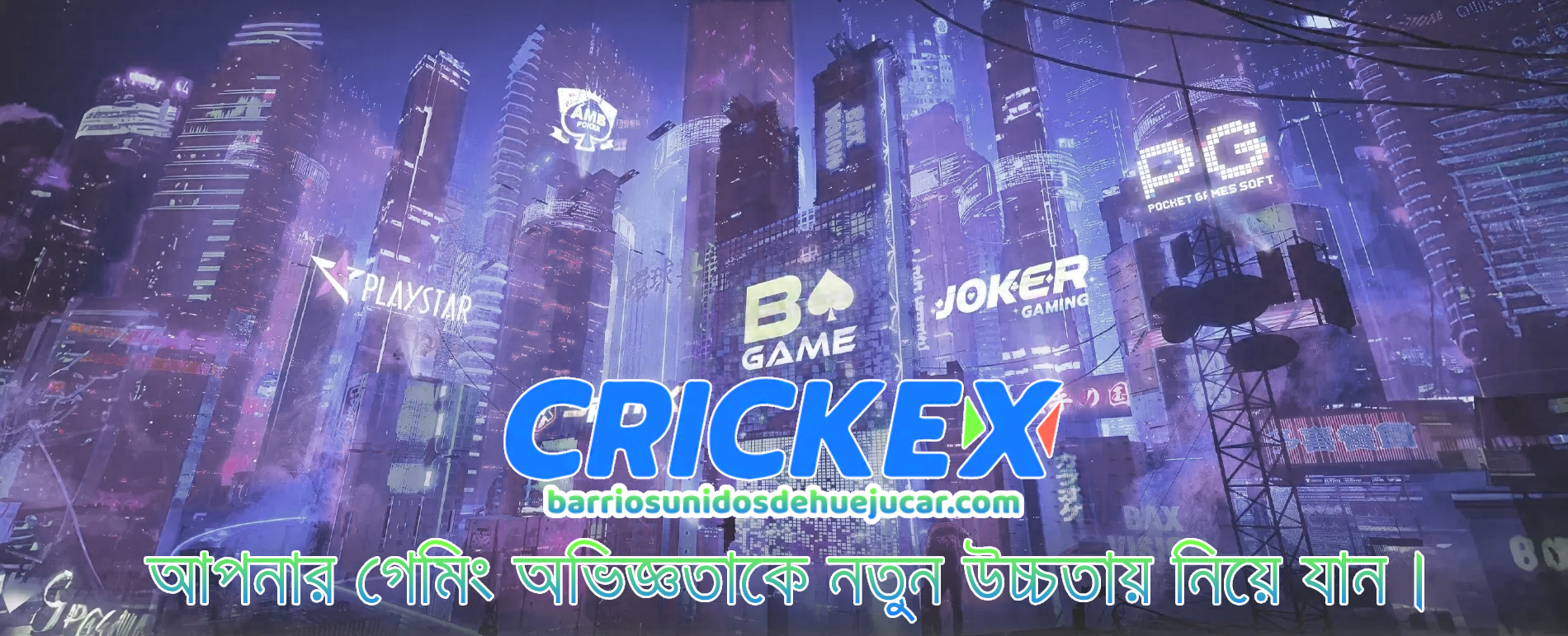 crickex app login